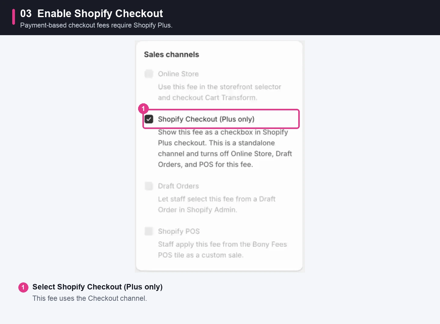 Select Shopify Checkout (Plus only) in the Sales channels settings.
